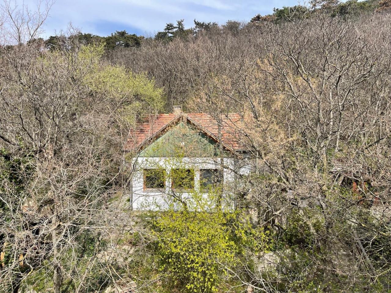 Rustic Cottage & Garden Retreat On Buda Hilltop Budapest Esterno foto
